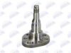 BTA H5W028BTA Stub Axle, wheel suspension
